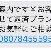 08078455595からのメール